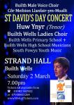st davids concert poster 2 march 2019&nbsp;revised
