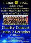 Concert Poster Strand Dec 2022&nbsp;(1)